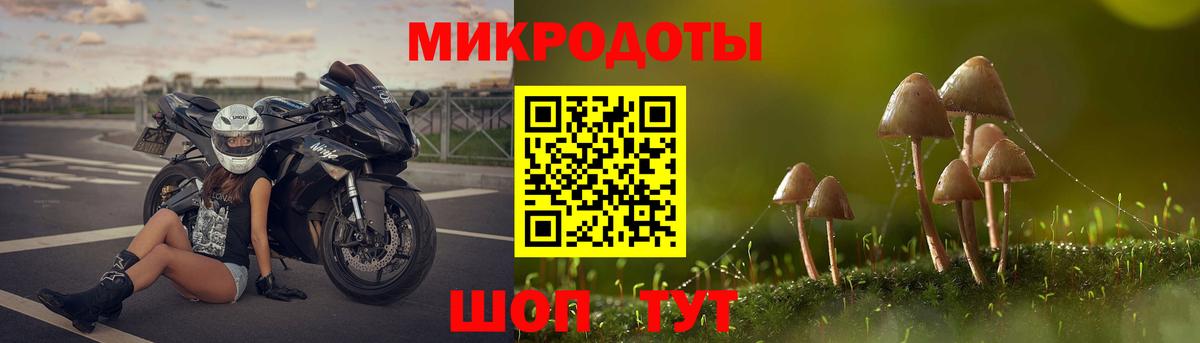Псилоцибиновые грибы MAGIC MUSHROOMS  Псилоцибиновые грибы MAGIC MUSHROOMS  Кандалакша  Вход с VPN 